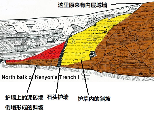 上图：1950年代，John Garstang请英国考古学家Kathleen Kenyon检查他的挖掘资料，并继续挖掘。上图是Kenyon所画的剖面图，黑色部分是4.5米高的外层石头护墙，被埋在废墟之下。黄色部分是护墙后面向上的斜坡，坡顶原来伫立着内层城墙。鲜红色部分是城墙向外倒下的红土砖所形成的斜坡，进攻者可以沿着斜坡「上去进城，各人往前直上」（书六20）。Kenyon也证实耶利哥废墟被大火彻底摧毁，但她认为耶利哥城在主前1550年被逃离埃及的喜克索人（Hyksos）或追击的埃及人摧毁的，所以约书亚进迦南时，耶利哥已经没有城墙了。可是她无法解释为什么逃到这里的喜克索人会摧毁城墙，也不能解释为什么会留下许多储藏谷物的陶罐，也找不到当时埃及军队在约旦河谷军事活动的记录。